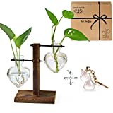 XXXFLOWER Plant Terrarium Wooden Stand, Hydroponic Planter Bulb Glass Metal Swivel Holder Retro Air Plants Water Plants for Home Office Decoration, Plant Lover Gifts - 2 Love Bulb Vase