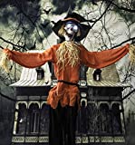 Haunted Hill Farm 6 ft. Standing Halloween Scarecrow with Sounds Effects | Flashing Green Eyes | Touch Activated | Battery-Operated | Halloween Decoration | HHSCR-1FLSA