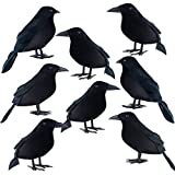 MIAHART 8 Pack Realistic Crows for Halloween Decorations Black Feathered Crow Prop Black Raven Decor for Halloween Party Decorations