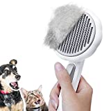 HICC GROOM! Pet Pumpkin Brush, Pet Grooming Self Cleaning Slicker Brush for Cats & Dogs, Gently Removes Loose Undercoat, Pain-Free Bristles for Shedding and Grooming (White)