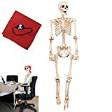 5 ft Pose-N-Stay Life Size Skeleton Full Body Realistic Human Bones with Posable Joints for Halloween Pose Skeleton Prop Decoration
