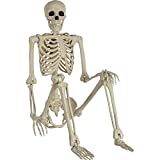 Life Size Skeleton - 60" | White | 1 Pc.