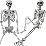 5.4ft/165cm Halloween Skeleton, Posable Life Size Human Skeletons, Full Body Realistic Bones with Movable Joints for Halloween Spooky Party Decoration, Yard Lawn Outdoor Haunted House Props Decor