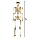 JOYIN 5 ft Halloween Life-Size Skeleton, Full Body Plastic Skeleton with Movable Joint, Human Bones for Halloween Party, Indoor and Outdoor Decorations, Haunted House or Graveyard Props