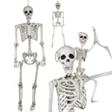 Posable Life Size Human Skeletons, Set of 2 - Adult & Child - Realistic Halloween Prop Decorations with Bending Articulated Bone Joints that Stay in Place - Spooky Party Favor! - Indoor/Outdoor Use