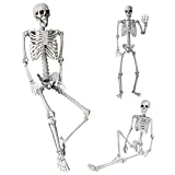 5.4Ft/165cm Halloween Skeleton Full Body Life Size Human Bones with Movable Joints for Indoor Outdoor Halloween Props Decorations