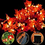 3 Pack Fall Decor Fall Garland Fall Decoration for Home, Enlarged Maple Leaves Halloween Lights, 30 Ft 60 LED Waterproof Battery Operated Lights Fall Thanksgiving Halloween Decorations Indoor Outdoor