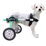 Walkin Wheels Small Dog Wheelchair, Lightweight Dog Wheelchair for Back Legs, 15-25 lbs, for 9-11 inches Leg Height - Seafoam