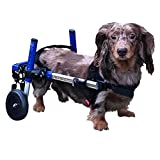 Dachshund Wheelchair - for Small Dogs 2-30+ Pounds - Veterinarian Approved - Dog Wheelchair for Back Legs