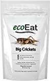 ecoEat Edible Insects Big Black Crickets to Eat  Edible Bugs Edible Dehydrated Crickets - Snack Food Gifts (15g)