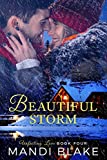 Beautiful Storm: A Sweet Christian Romance (Unfailing Love Book 4)