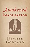 Awakened Imagination (The Neville Collection Book 8)