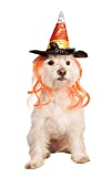 Rubies Costume Candy Corn Witch Hat with Hair Pet Costume, Medium/Large