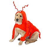 Casual Canine Lobster Paws Dog Costume, XX-Large (fits lengths up to 30"), Red-Orange