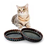 SIDUCAL Ceramic Shallow Cat Bowls,5 Inch Non Slip Wide Cat Food Bowls,Whisker Fatigue Free Cat Food Dish,Cute Pet Plate for Cat and Puppy,Dishwasher Safe (Green-2pcs)