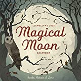 Llewellyn's 2023 Magical Moon Calendar: Spells, Rituals & Lore (Llewellyn's 2023 Magical Moon Calendar, 1)