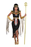 Amscan 847816 Adult Egyptian Queen Cleopatra Costume - Large (10-12)