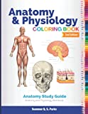 Anatomy and Physiology Coloring Book: Anatomy Study Guide. Anatomy and Physiology Workbook
