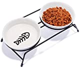 Cat Food Bowls Set, Upgraded 13 oz Ceramic Elevated Raised Cat Bowls for Food and Water with Stainless Steel Stand Non-Slip Anti-Rust, 2 Pet Dishes for Indoor Cats Kitten and Puppy, Dishwasher Safe