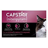 CAPSTAR (nitenpyram) Oral Flea Treatment for Cats, Fast Acting Tablets Start Killing Fleas in 30 Minutes, Cats 2-25 lbs, 6 Doses