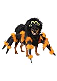 Spider Pup Costume Medium