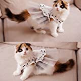 i'Pet Princess Floral Cat Party Bridal Wedding Dress Small Dog Flower Tutu Ball Gown Puppy Dot Skirt Doggy Photo Apparel Stretchy Clothes Mesh Costume for Spring Summer Wear (White, Small)