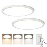 Flush Mount Ceiling Lights 2 Pack - LIGHTNUM 12 Inch 24W 2000LM Dimmable Low Profile Lighting Fixtures, 2700K/4000K/5000K Selectable Color Temperature Flat Ceiling Lamp for Bedroom, Kitchen