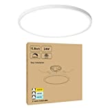 CycevSun 15.8 Inch Dimmable LED Ceiling Light Flush Mount, Low Profile 24W 3000K-4000K-5000K 3 Color Temperature Selectable,120V, Bright 2400LM, ETL Listed