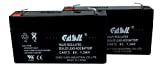 Casil 6V 1.3Ah Replacement Battery Compatible with ge 600-1054-95r Simon xt 2 Pack