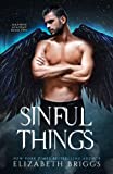Seraphim Academy 2: Sinful Things