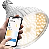 Smart LED Grow Light Bulb - Dimmable Warm, Cool & Daylight | Schedule & Timer | Full Spectrum Grow Lights Indoor Plants | Plant Light Indoor Grow Lamp | E26/27 | 20W with 288 PPFD Output