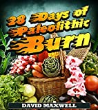 28 Days of Paleolithic Burn (Paleo Diet Book 1)