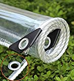 KTYX Tarps Grommets Heavy Duty Waterproof PVC Transparent - Tarpaulin Poly Clear Vinyl Lona Cover - 0.35mm Clear Awning Canopy Patio Tent Enclosure - Tarp to Cover The Sun and Rain, 1x2.5m3.3x8.2ft