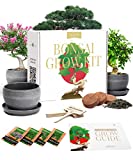 Bonsai Tree Kit  Easy to Grow 4 Species of Bonsai Tree w/ Our Complete Plant Kit: Bonsai Pots & Peat Pellets Including a Bonus in-Depth Grow Guide | Great Gardening Gifts for Women and Men