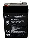 Casil 6V 4Ah Rechargeable Sealed Lead Acid Replacement Battery