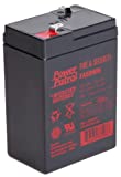 Interstate Batteries Power Patrol 6V 4Ah Fire & Security Battery (FAS0905) Sealed Lead Acid Rechargeable SLA AGM (F1 Terminal) Fire Alarms, Security Systems