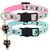 2 Pack Glow in The Dark Cat Collar with Bell Breakaway Safety Cat Puppy Collars with Pendant Light Blue and Pink