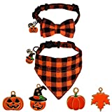 STMK 2 Pack Holiday Cat Bandana Collar with Bell, Breakaway Halloween Thanksgiving Day Fall Cat Kitten Bandana Collar with Bell & DIY Pumpkin Maple Leaf for Holiday Cats Kittens Costume Decorations