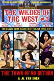 The Wildes of the West #3 The Town of No Return (The Danger Down Mexico Way Trilogy Book 2): Old west fiction of action adventure, romance & western family drama