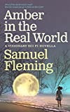 Amber in the Real World: A Visionary Sci FI Novella