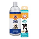 Arm & Hammer for Pets Combo Pack Dog Dental Tartar Control Water Additive and Fresh Breath Vanilla Ginger Enzymatic Toothpaste | Includes 16 Oz Dog Water Additive and 2.5 oz Dog Toothpaste