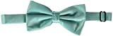 Stacy Adams Men's Satin Solid Bow Tie, Turquoise, One Size