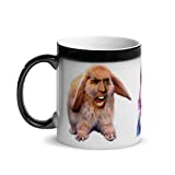 Nicolas Cage Magic Color Changing Mug Nic Cage As 3 Animals Nicholas Cage Gift Meme Funny Coffee Mug Tea Cup