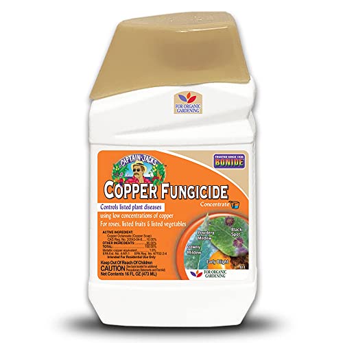 Bonide Captain Jack Copper Fungicide 16 oz Concentrated Plant Disease Control Solution for Organic Gardening