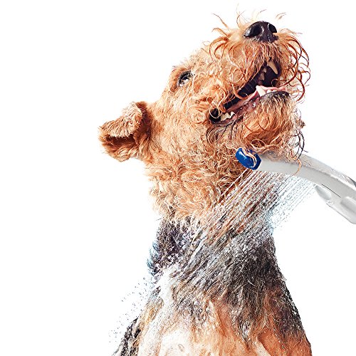 Waterpik PES-142 Pet Wand Dog Shower for Indoor-Outdoor Use, 10.5", Blue/Grey