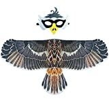 D.Q.Z Halloween Costumes Bird Wings for Kids Eagle Owl Dress Up with Bird Mask Party Favors (Gray)