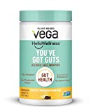 Vega Hello Wellness Youve Got Guts Blender Free Smoothie, Choco Cinnamon Banana (14 Servings, 14.3oz) - Plant Based Vegan Protein Powder, 5g Prebiotic Fiber, 0g Added Sugar