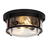 2-Light Outdoor Indoor Ceiling Light, Flush Mount Bathroom Ceiling Light Fixtures, Black Finish for Porch, Entryway, Bedroom, ETL Listed (Bulb not Included)