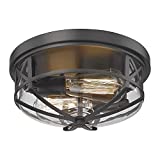 Darkaway Ceiling Light Fixtures Flush Mount Light Fixtures Ceiling Mount with Clear Glass Shade, Indoor Outdoor Ceiling Light for Hallway Entryway Bedroom Porch 2-Light E26