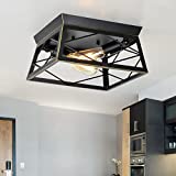 Eayaya Farmhouse Flush Mount Ceiling Light Fixture, Indoor and Outdoor Close to Ceiling Lamp for Porch Entryway Hallway Foyer, 2-Light Black Farmhouse Light Fixture for Kitchen Dining Room Bedroom